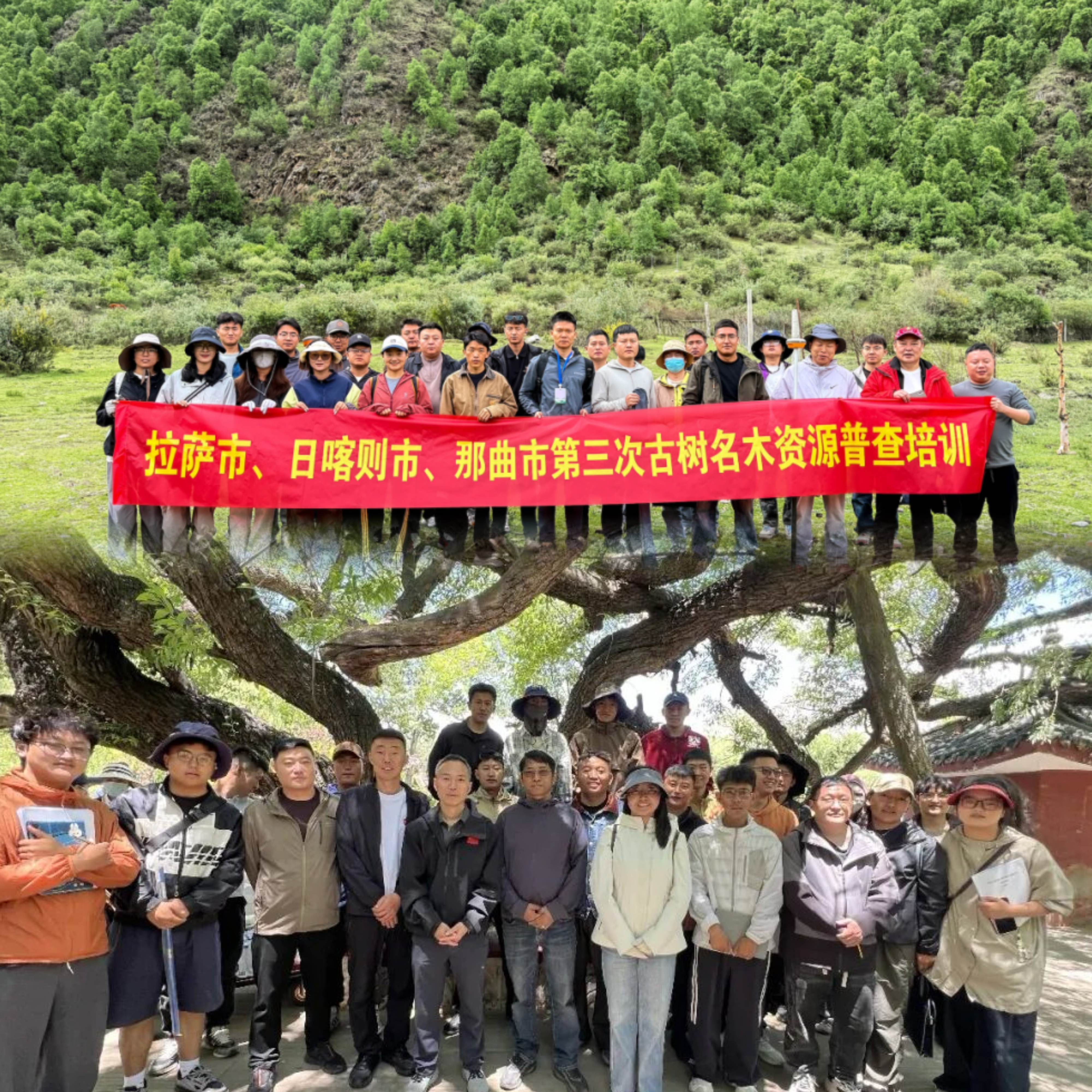 微信图片_20260622180757.jpg